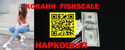 гашик Моздок