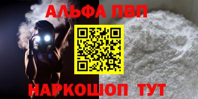 гашик Моздок