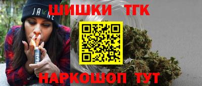 гашик Моздок