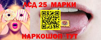 гашик Моздок