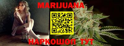 гашик Моздок