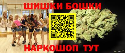 гашик Моздок