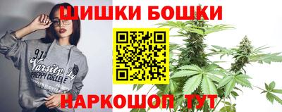 гашик Моздок