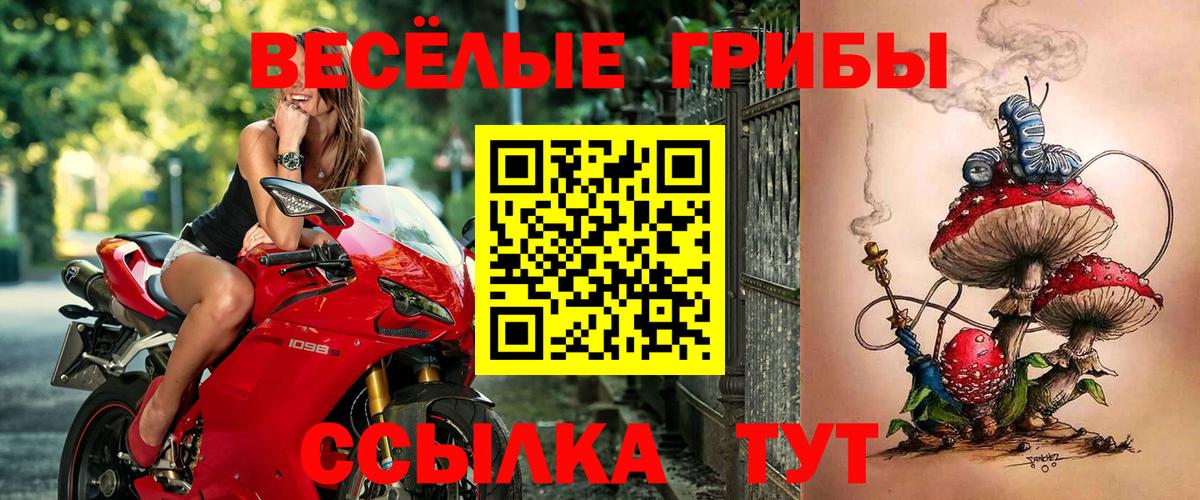 Галлюциногенные грибы мицелий Сосновоборск